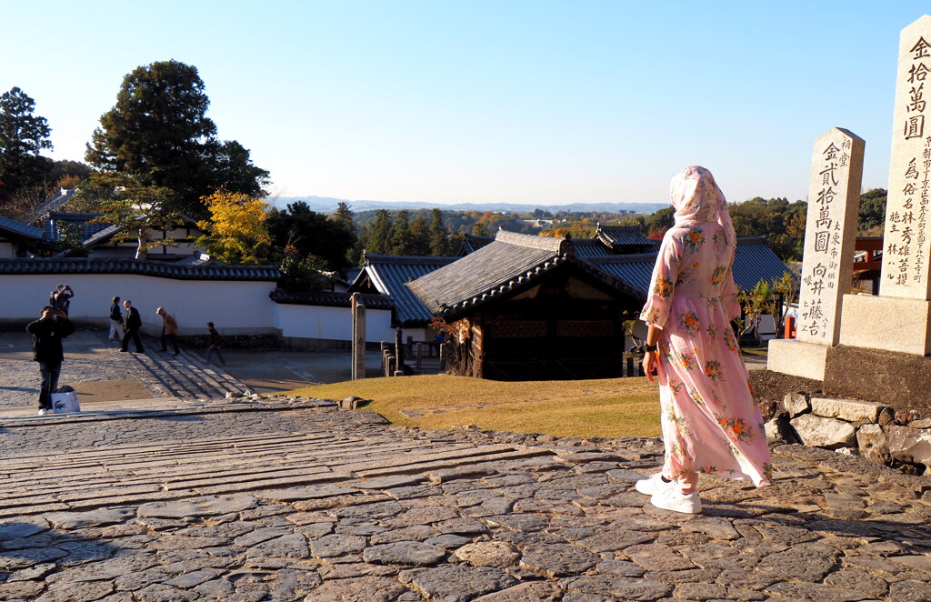 enjoy japan①