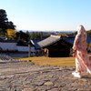 enjoy japan①