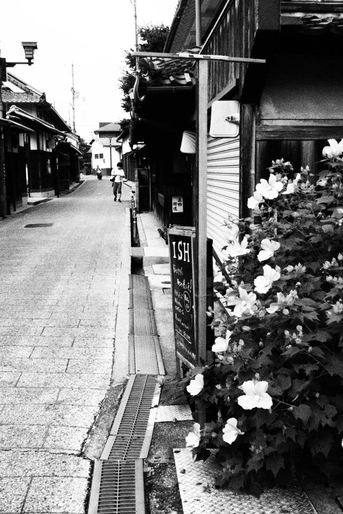 高野街道