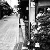高野街道