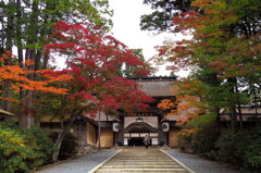 金剛峯寺