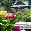 本堂を望む３