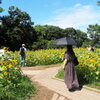 何となくモネ風♪