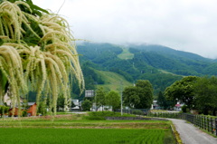 白馬村