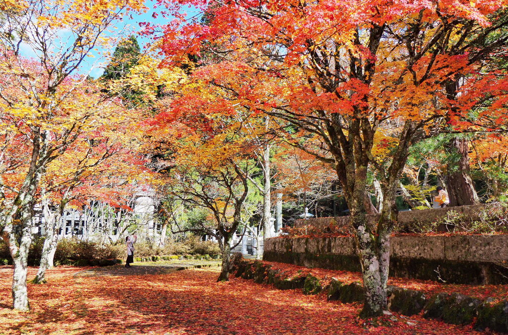 紅葉に包まれて