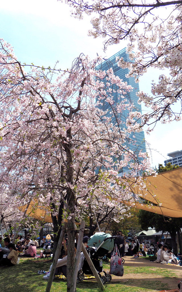天王寺公園２