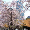 天王寺公園２