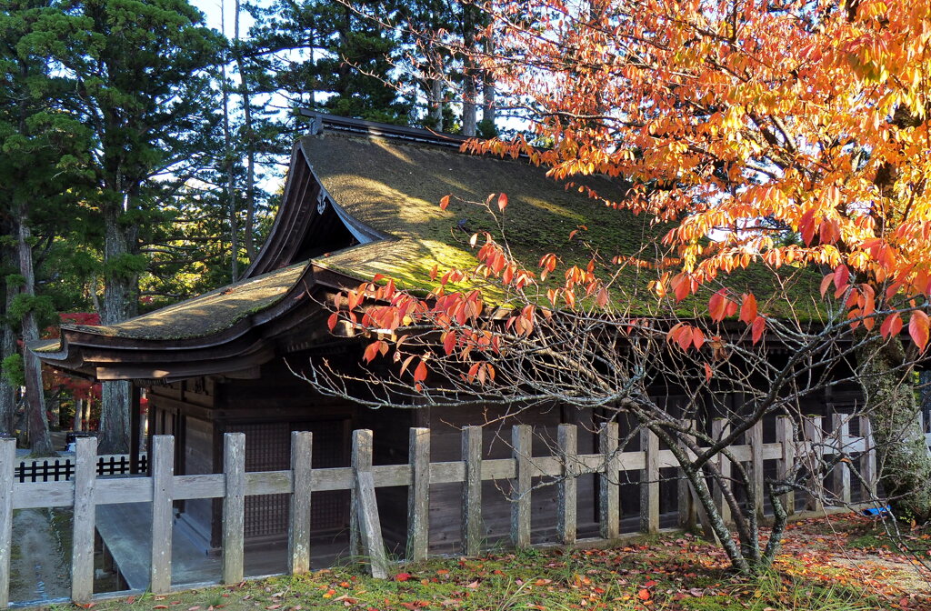 お堂と紅葉