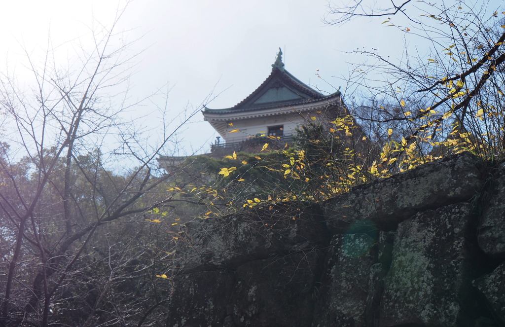 和歌山城１