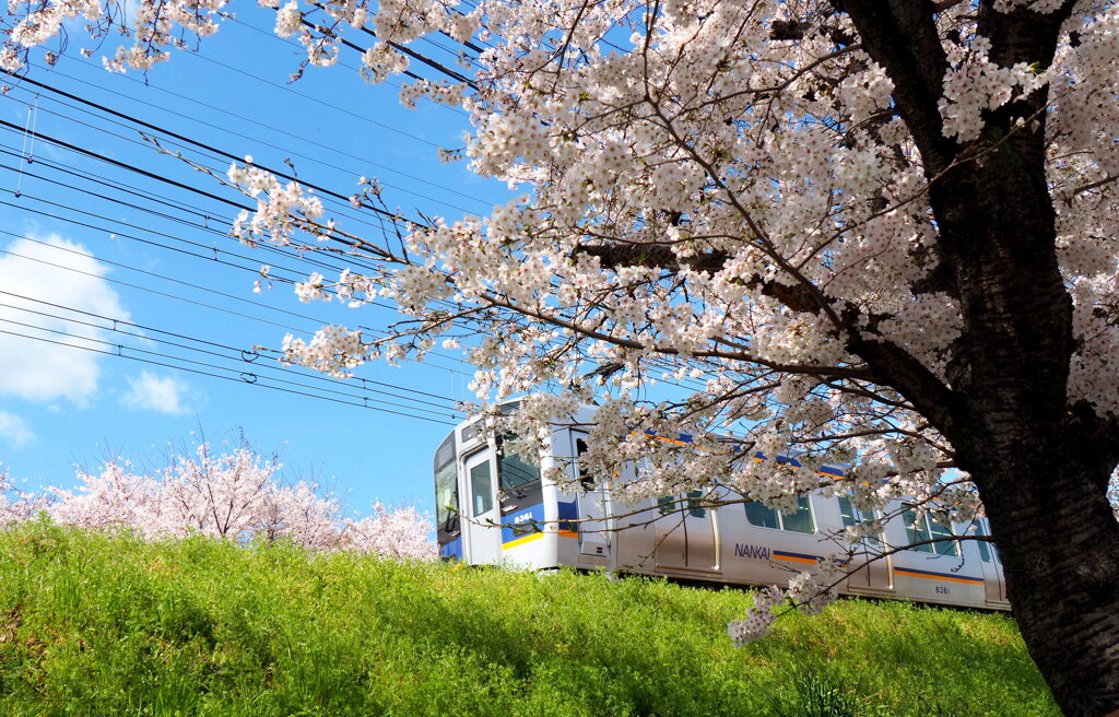 花電車♪