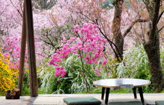 花園の中の茶の間♪