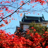 和歌山城③