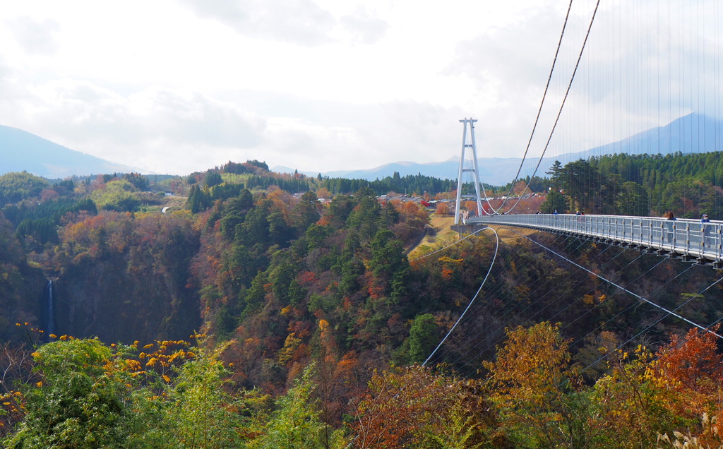 九重夢大吊橋２