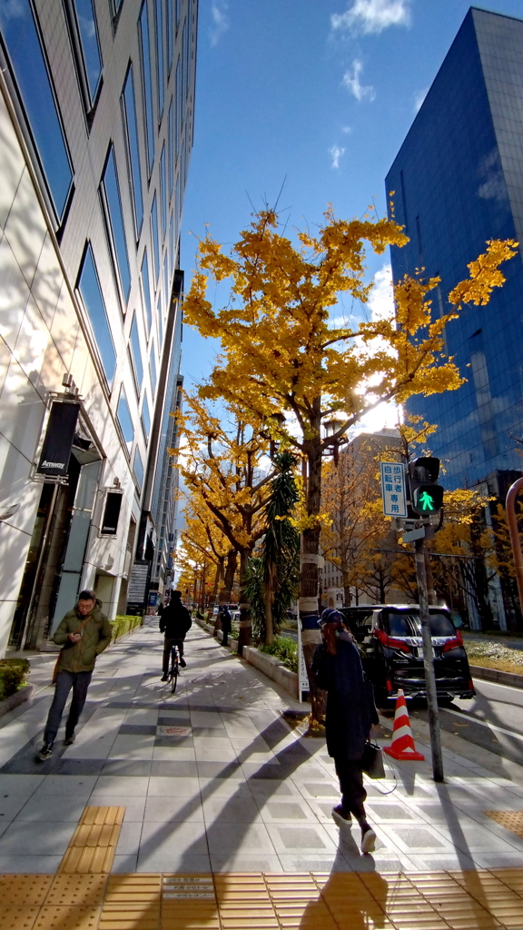 師走の御堂筋②