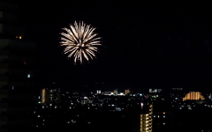 近くの花火①