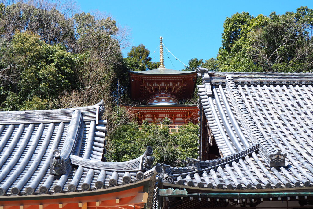 堂塔伽藍