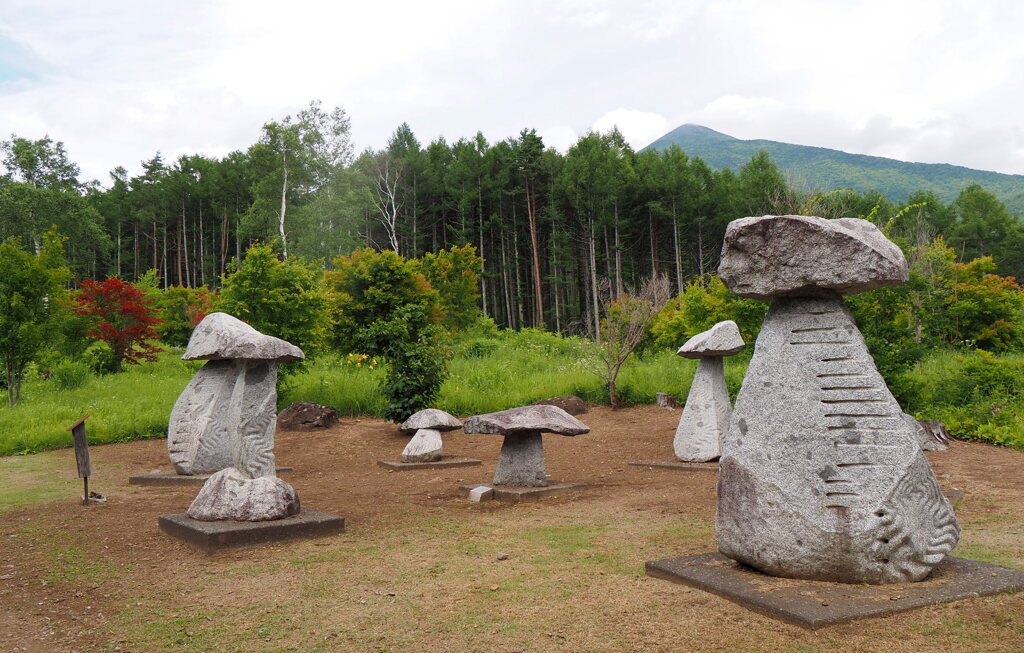 芽生える歓喜