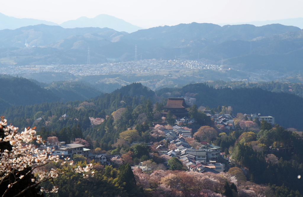 蔵王堂と二上山