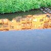 川面に映して