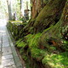高野山奥の院①