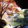 庭園の秋