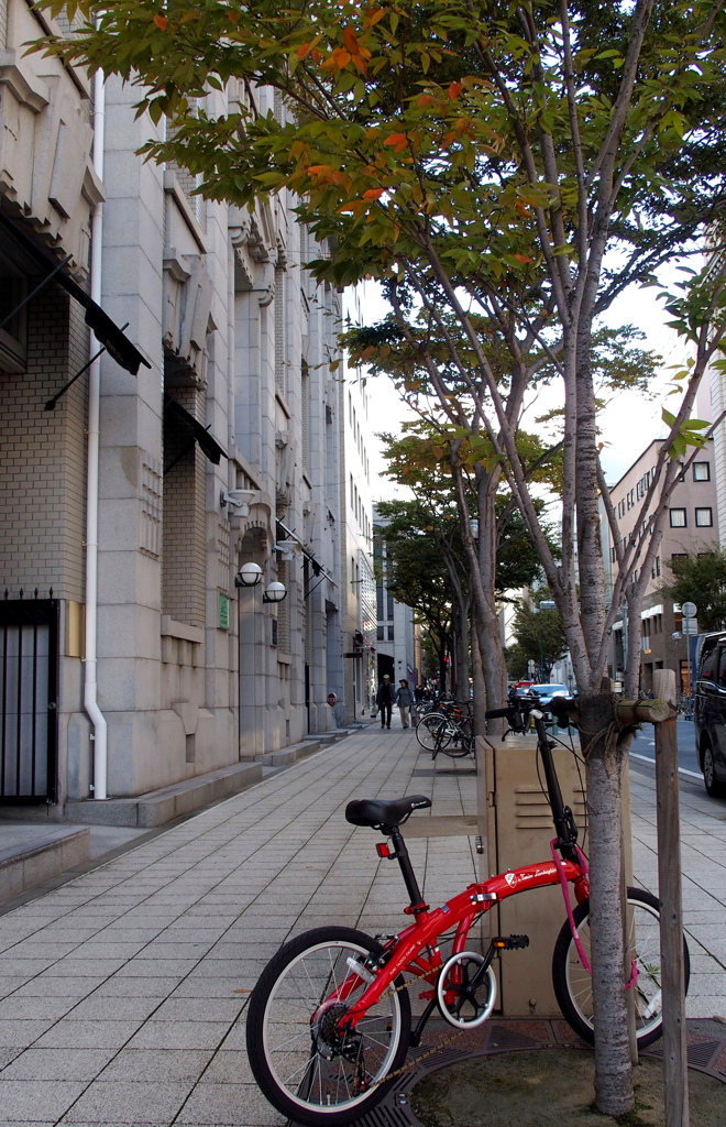 自転車のある風景①