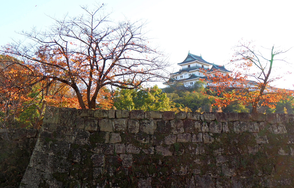 和歌山城①