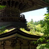 屋上緑化＾＾