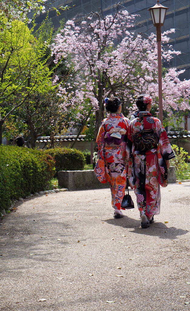 外人さんもお花見♪２