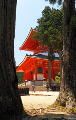 根本大塔