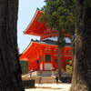 根本大塔