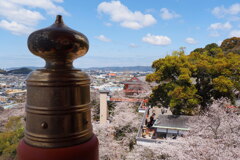 紀三井寺満開♪①