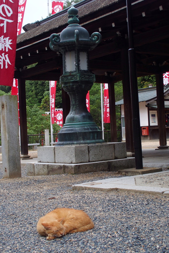 神社の主