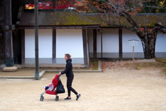 金剛峯寺の日常