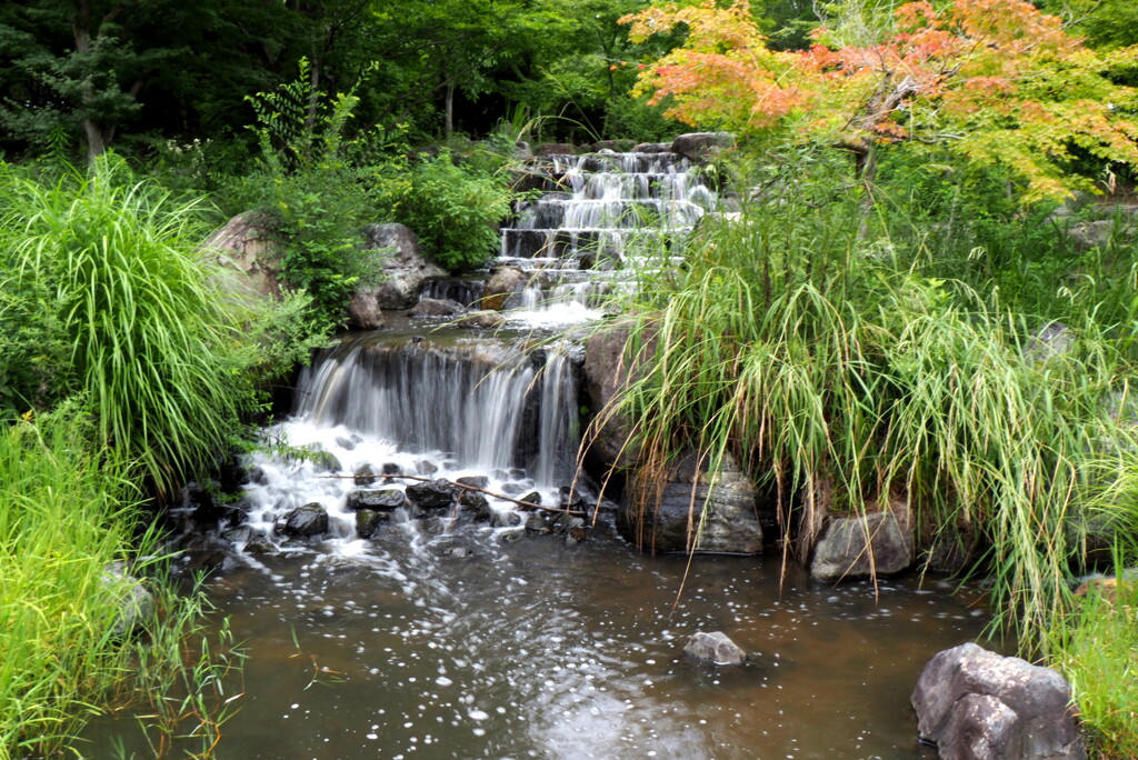 公園の滝
