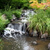 公園の滝