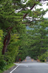 吉備津神社参道
