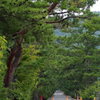 吉備津神社参道