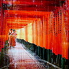 京の旅2