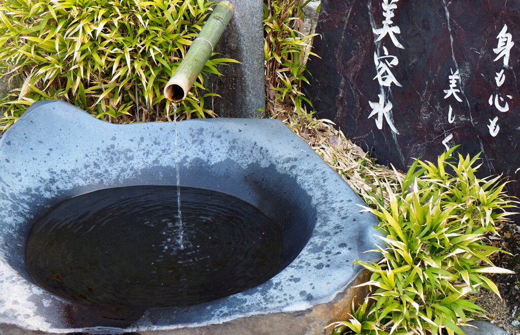 美容水
