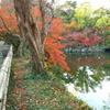 紅葉渓庭園②