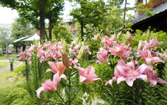 花とコテージ④