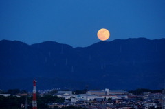 昨夜のフラワームーン♪