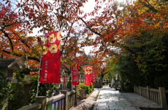 三光神社の紅葉