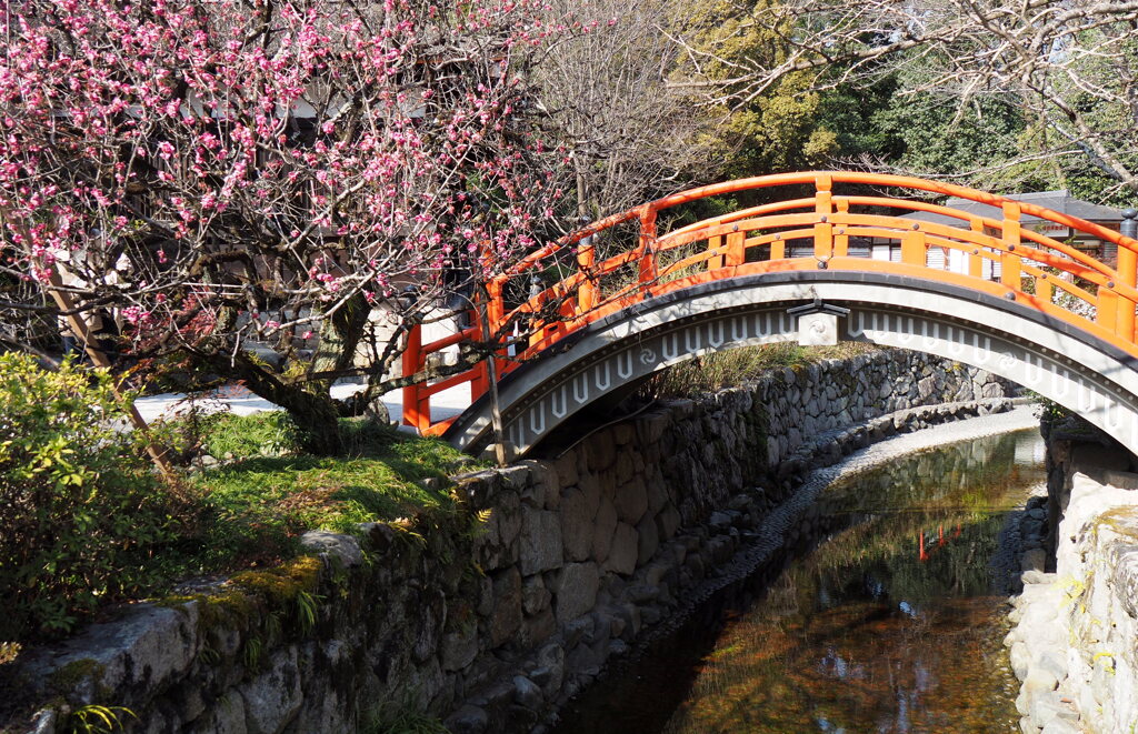 下鴨神社1