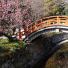 下鴨神社1