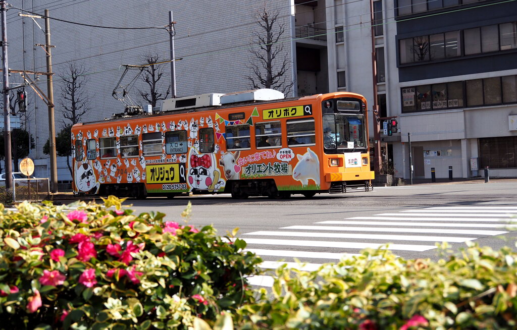 街を明るく♪