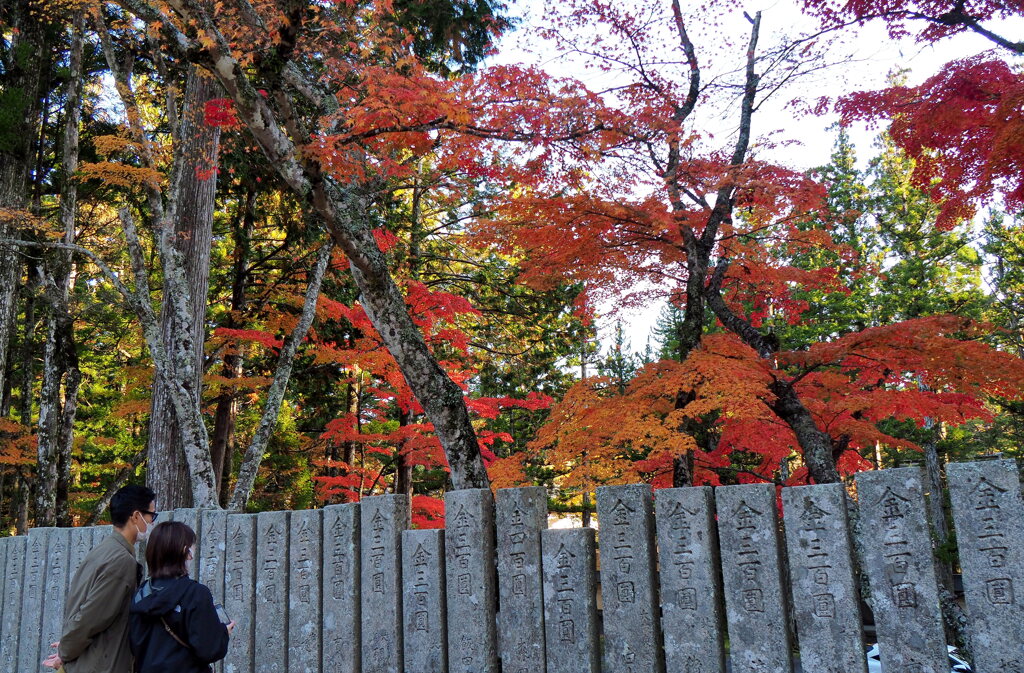 石柱と紅葉