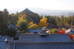 二月堂から②