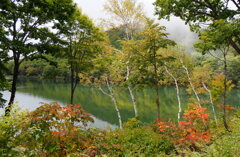 琵琶池２